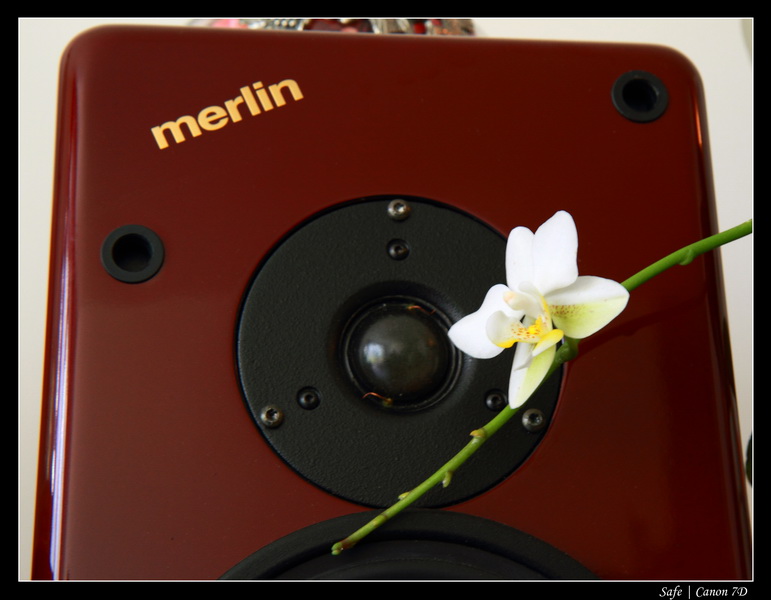 2011 - 01 - Chez Anabelle 07